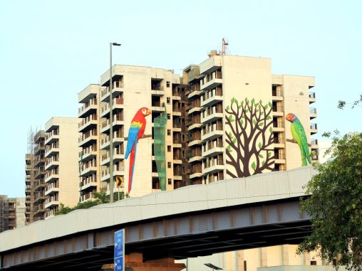 building birds